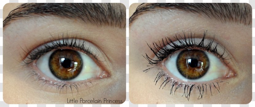 Eyelash Extensions Eye Shadow Mascara Brown - Artificial Hair Integrations - Fake Eyelashes Transparent PNG