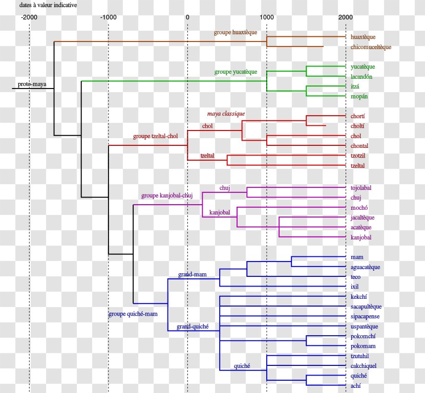 Tree Model Indo-European Languages Linguistics Cladistics - Text - Mayan Transparent PNG