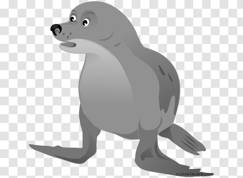 Sea Lion Walrus Baby Harp Seals Clip Art - Pinniped Transparent PNG