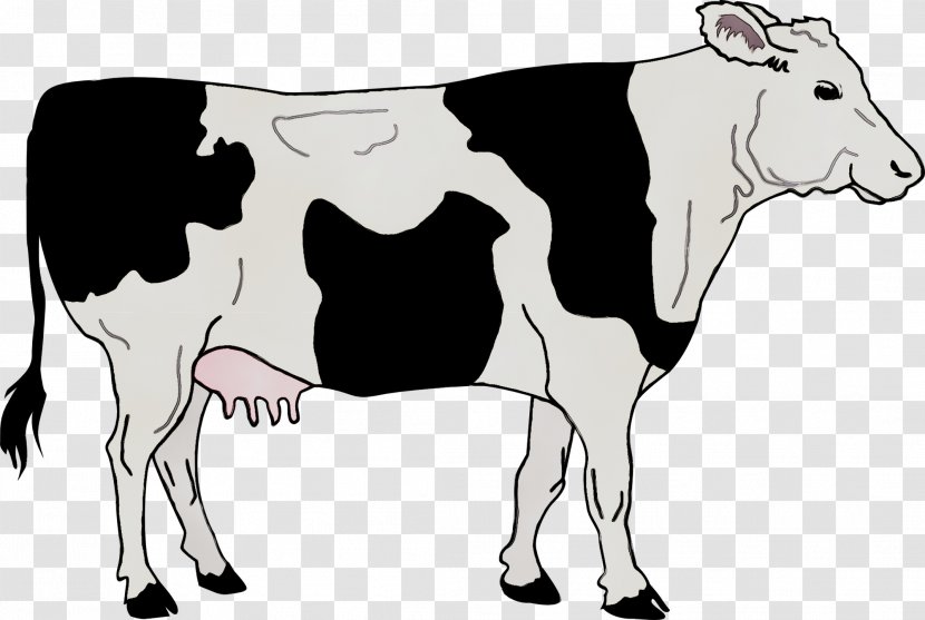 Angus Cattle Clip Art Calf Zebu - Cartoon - Dairy Transparent PNG