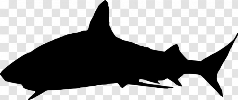 Great White Shark Silhouette Clip Art - Small To Medium Sized Cats - Baby Free Transparent PNG