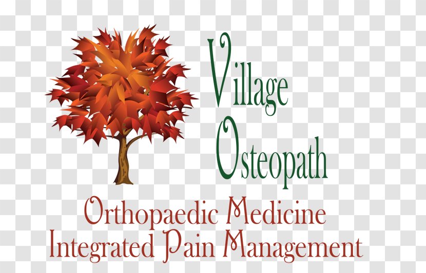 Village Osteopath Doctor Of Osteopathic Medicine Health Physician - Board Certification - Urgent Care Transparent PNG