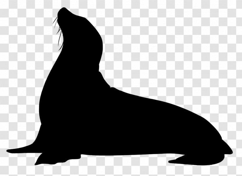 Sea Lion Dog Mammal Black & White - M Transparent PNG