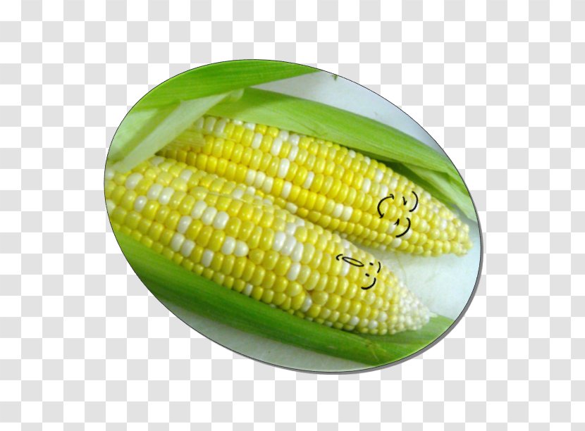 Corn On The Cob Commodity - Sweet - Kernels Transparent PNG