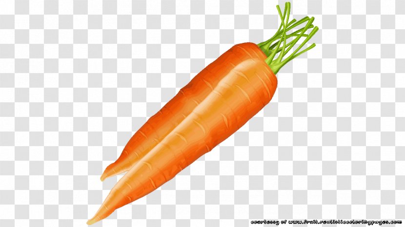 Clip Art - Carrot Transparent PNG