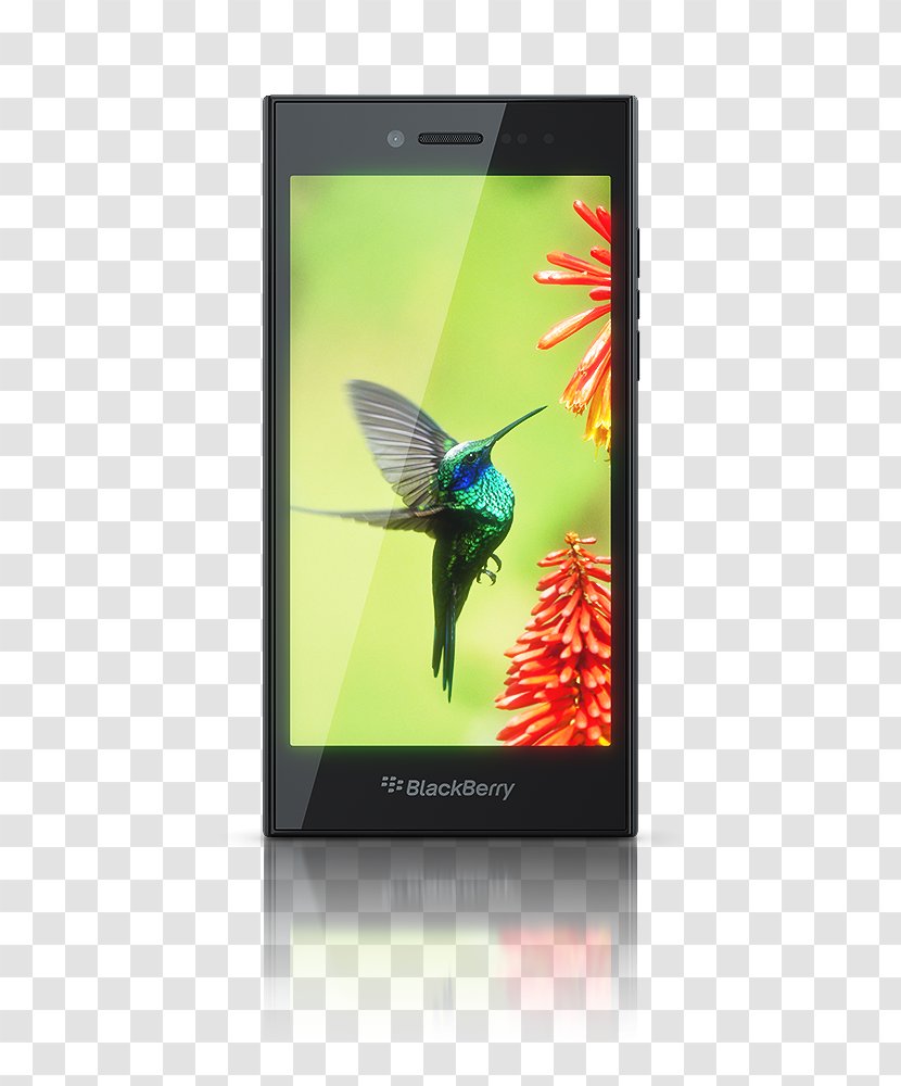 BlackBerry Passport Z10 Q10 Torch 9800 Q5 - Blackberry - Large Screen Phone Transparent PNG