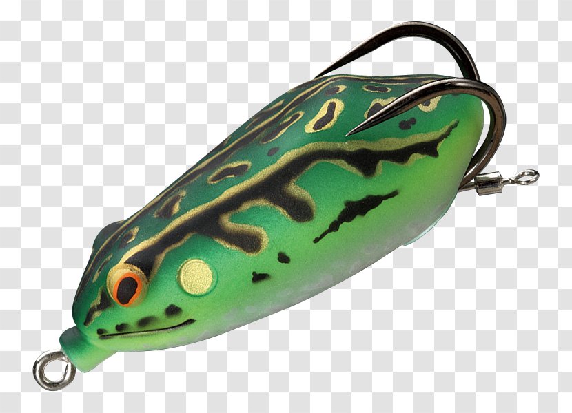 Amphibian Japanese Tree Frog Spoon Lure トノサマカルビ 高田馬場店 - Online Shopping Transparent PNG