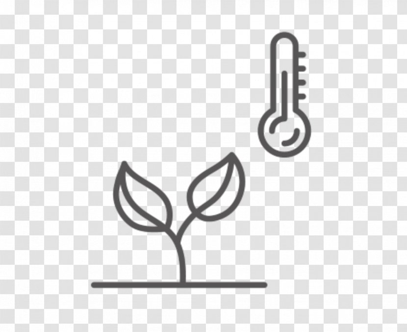 Plants Seed Fruit Tree Design Logo - Prunus Dulcis Transparent PNG