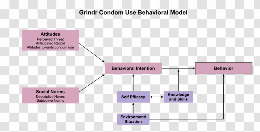 Social Cognitive Theory Of Planned Behavior Change Behavioural Theories - Career Male Transparent PNG