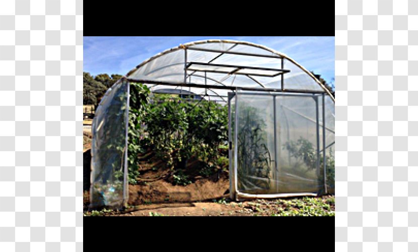 Shade Canopy Greenhouse Shed - Structure - Huerto Transparent PNG