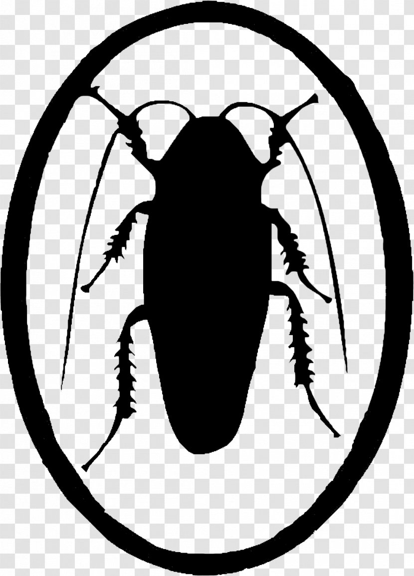 German Cockroach Insect Butterfly Transparent PNG