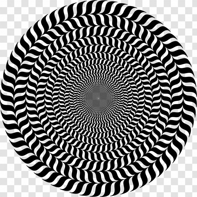 Visual Perception Psychophysics Optics Vision Science - Spiral - Vortex Transparent PNG