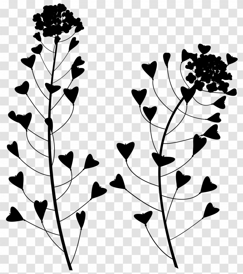 Leaf Pattern Floral Design Clip Art - Pedicel Transparent PNG