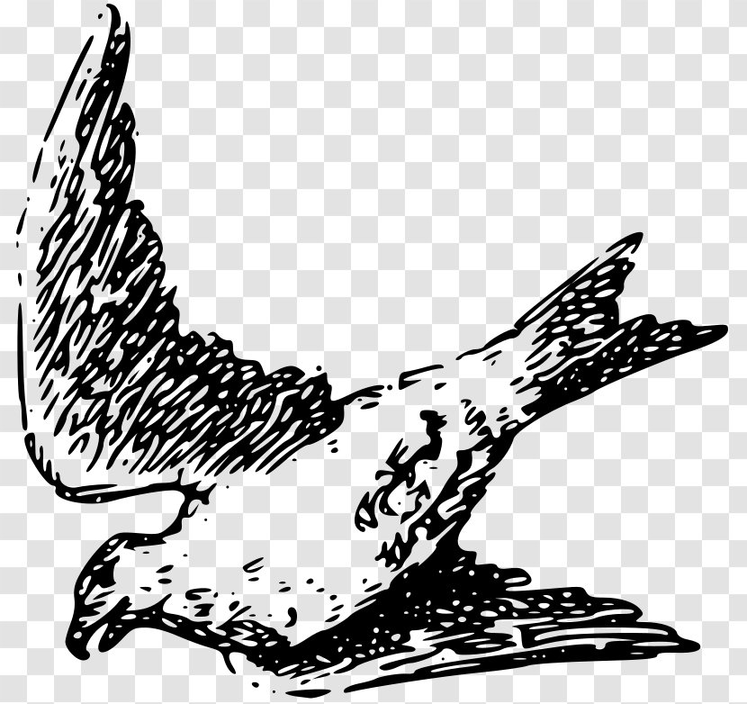 Bird Flight Chicken Clip Art - Cartoon Transparent PNG
