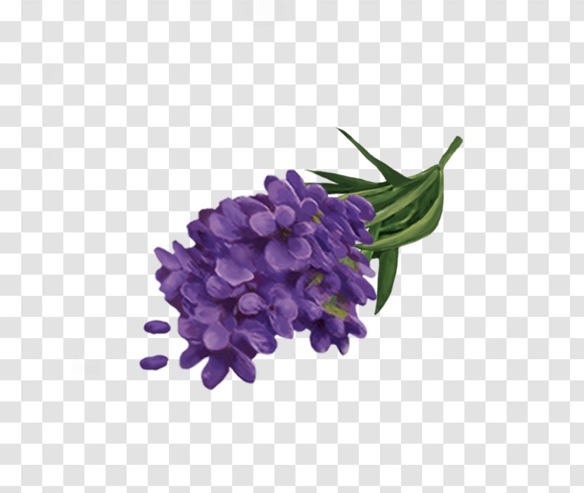 Yogi Tea Lavender Cut Flowers Energy - Violet - Lavanda Transparent PNG
