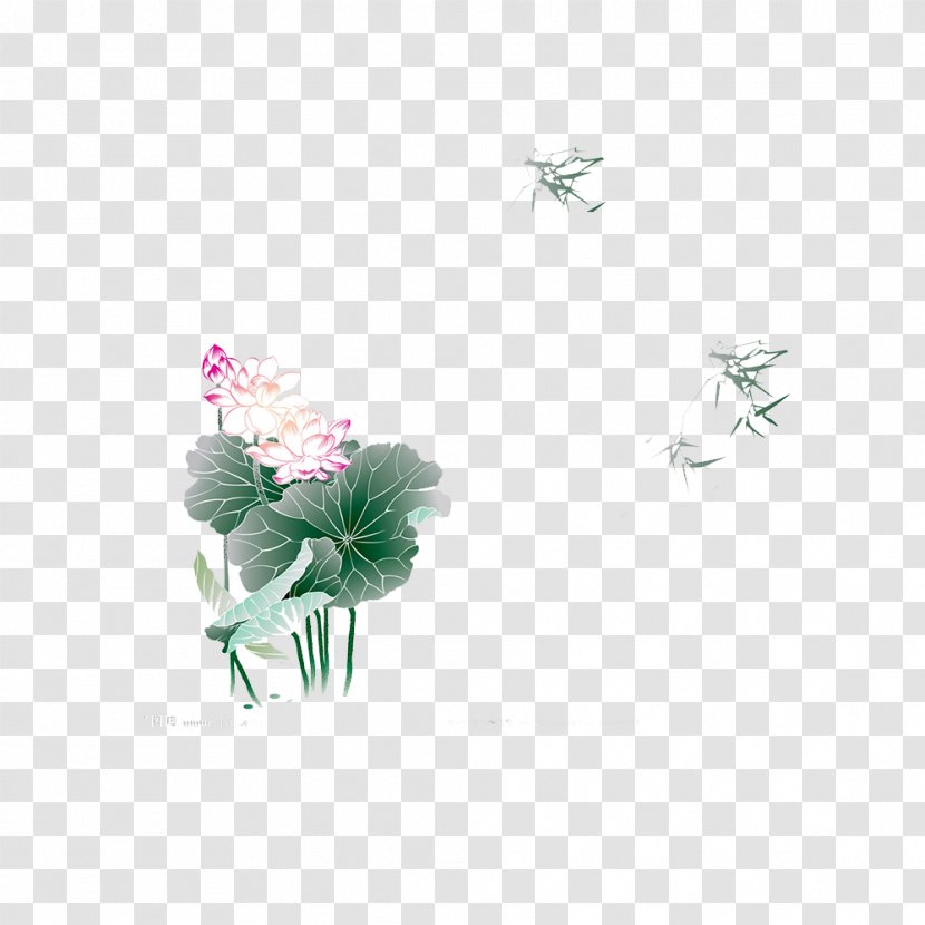 Wallpaper - Painting - Lotus Transparent PNG