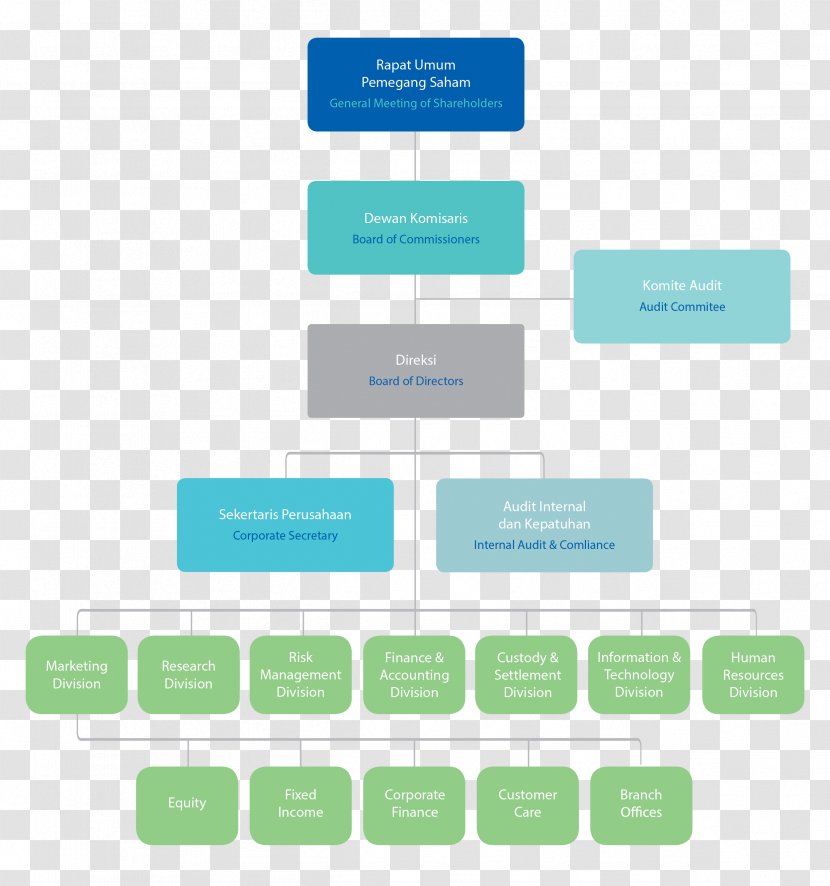 Organizational Structure Joint-stock Company Corporation - Struktur Organisasi Transparent PNG