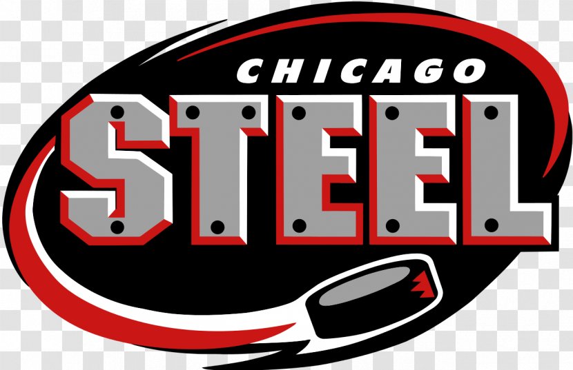 Chicago Steel United States Hockey League Blackhawks Youngstown Phantoms Fox Valley Ice Arena - Recreation - Philadelphia Eagles Transparent PNG