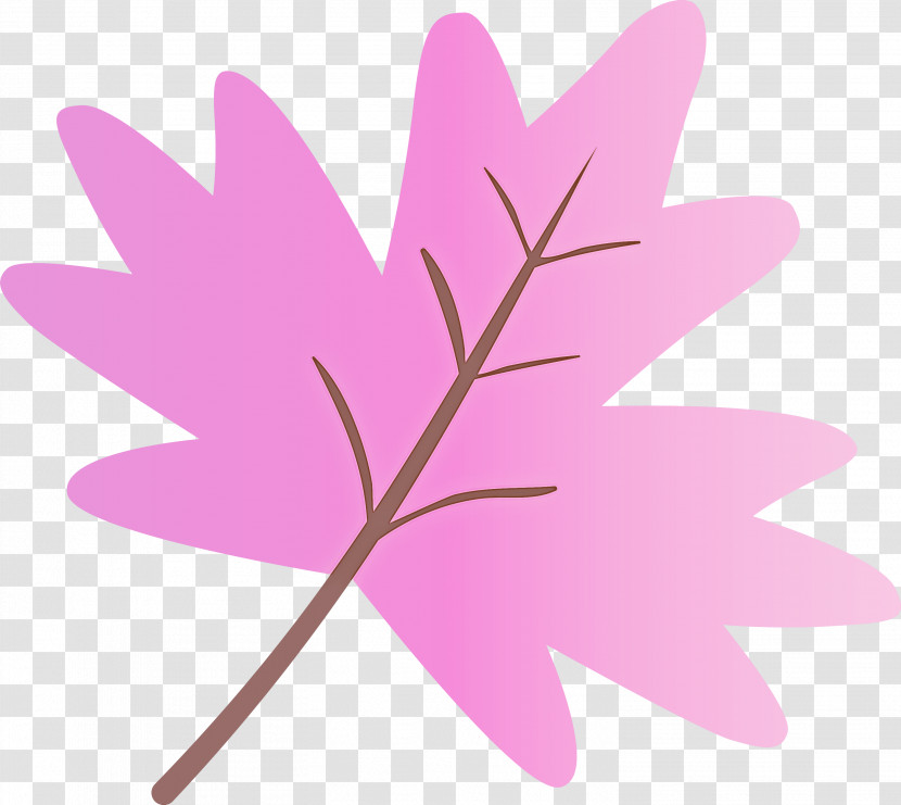 Leaf Pink Plant Tree Flower Transparent PNG