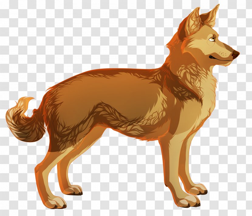 Dhole Dingo Pit Bull Canidae Red Fox - Wolf - Doge Transparent PNG