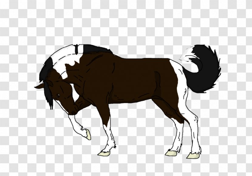 Mustang Stallion Rein Cattle Mammal - Horse Tack Transparent PNG