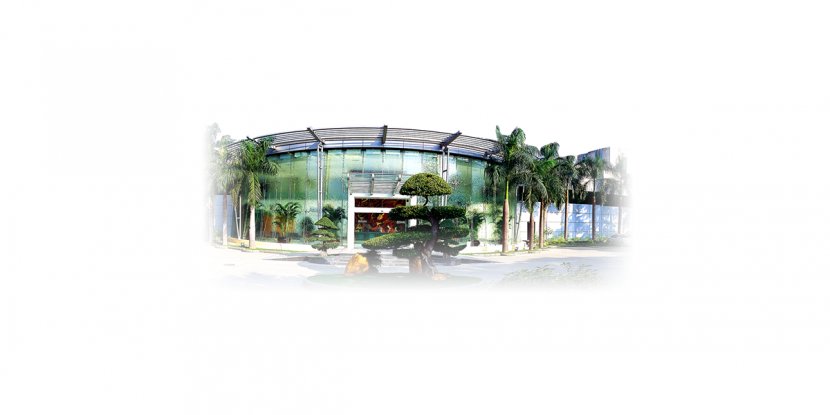 Tower Building - Property - Lookout Transparent PNG