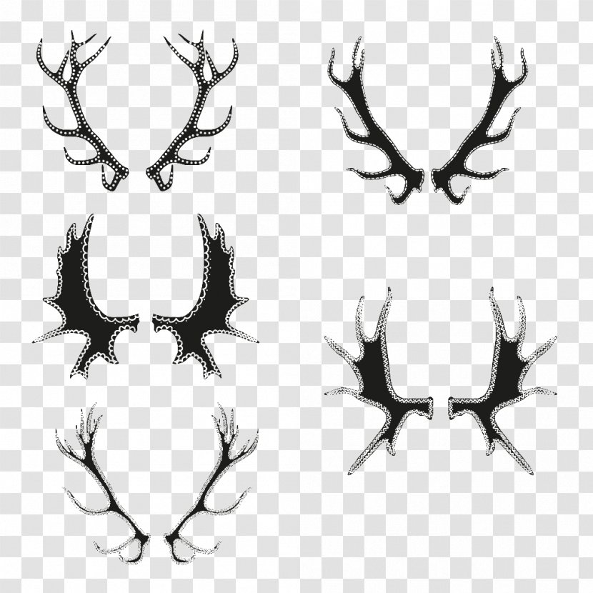 Deer Antler Design - Reindeer - Google Images Antlers Transparent PNG