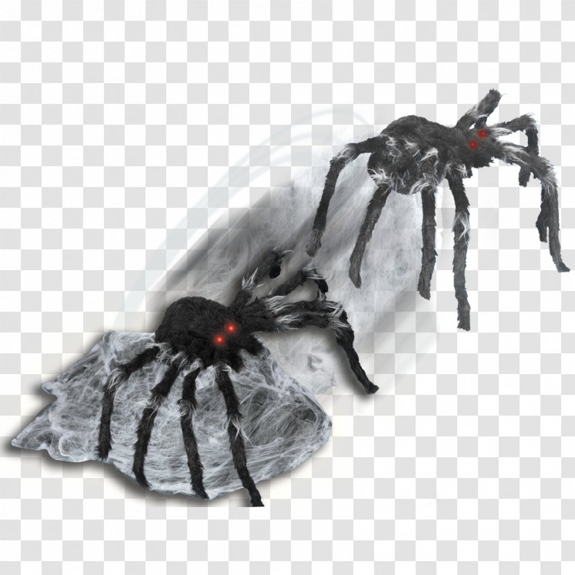 Jumping Spider Animation YouTube - Flower - Webbed Transparent PNG