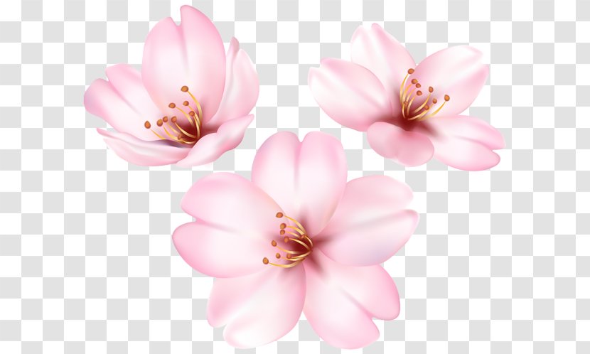 Flower Petal Clip Art - Violet - Spring Blooming Transparent PNG