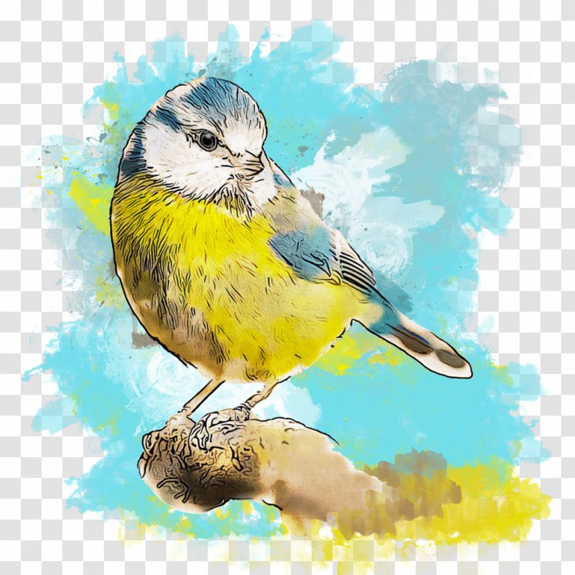 Finch Bird American Sparrows Beak Watercolor Painting Transparent PNG