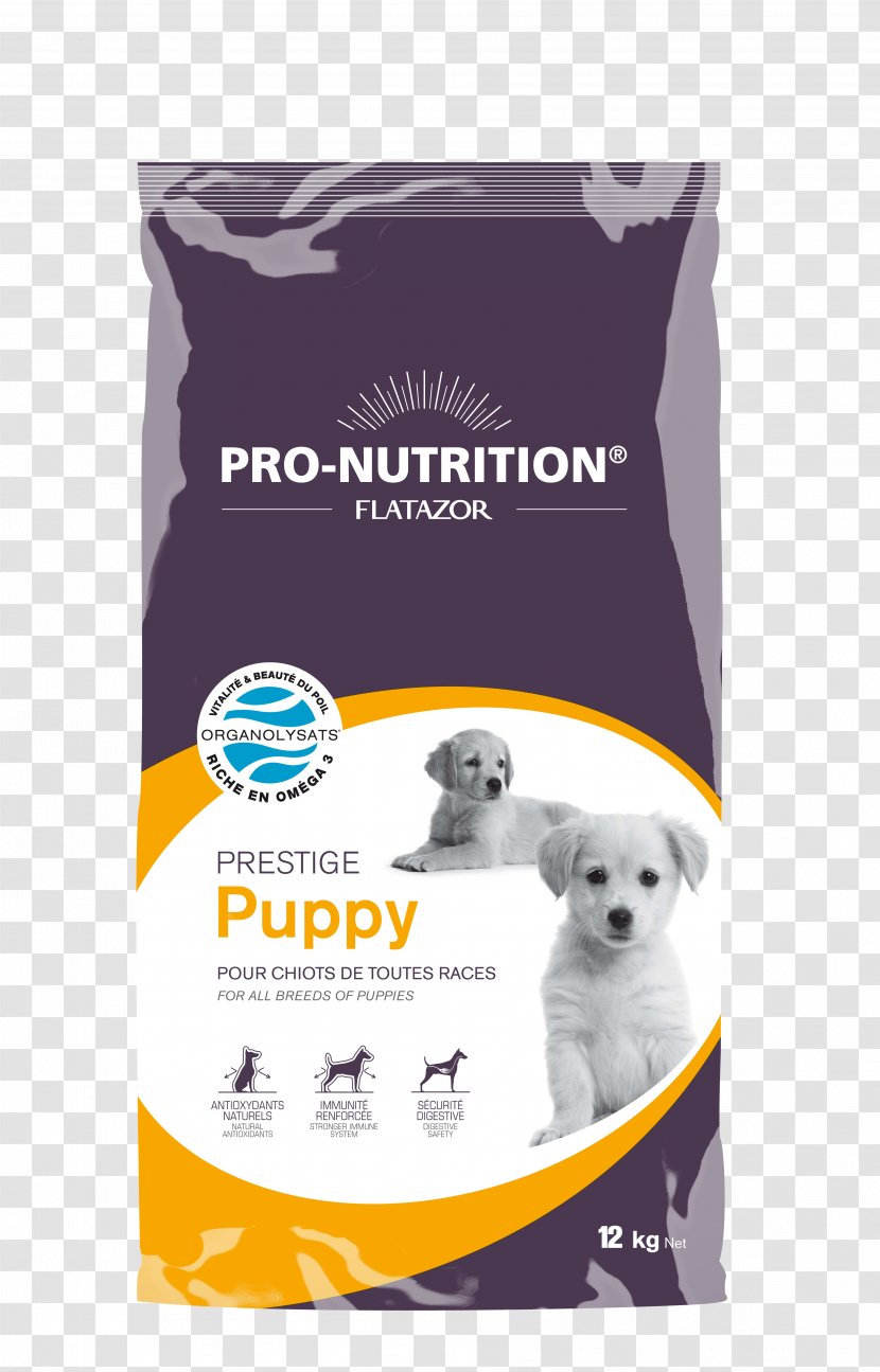 Puppy Poodle Dog Food Cat Pet - Breed Transparent PNG