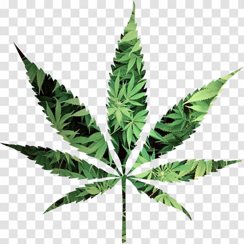 Cannabis Hemp Leaf Representation Symbol - Broadleaf Bramble Weeds Transparent PNG