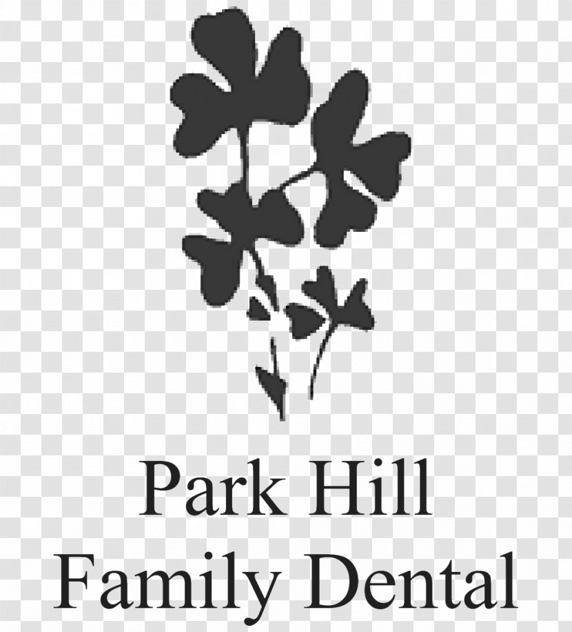 City Park Hill Family Dental Dentist Logo Brand - Leaf - Flowering Plant Transparent PNG