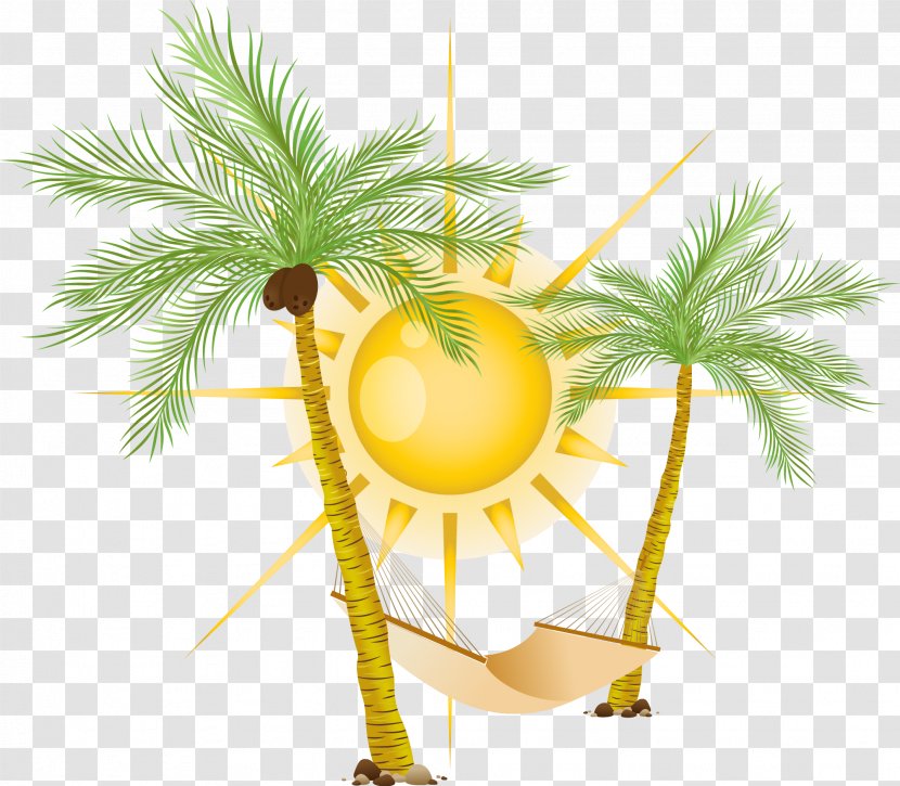 Coco Hammock Vector Sun - Fruit - Boyfriend Transparent PNG