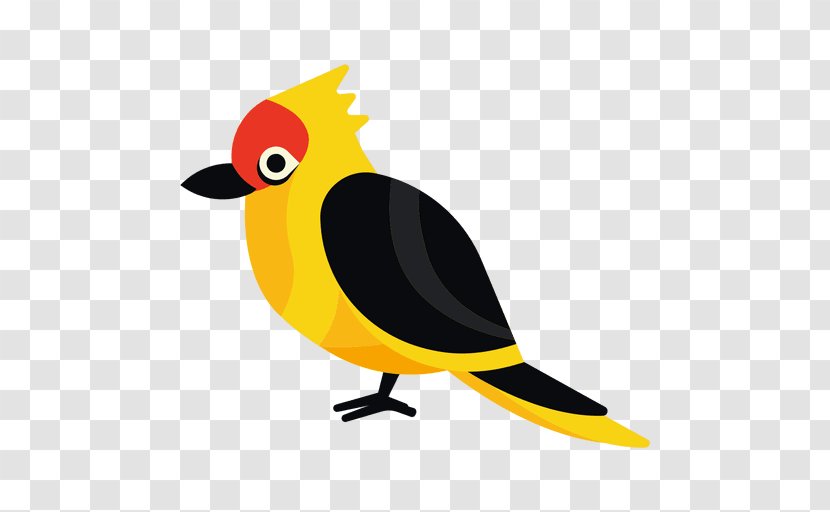 Bird Beak Parrot Clip Art Transparent PNG