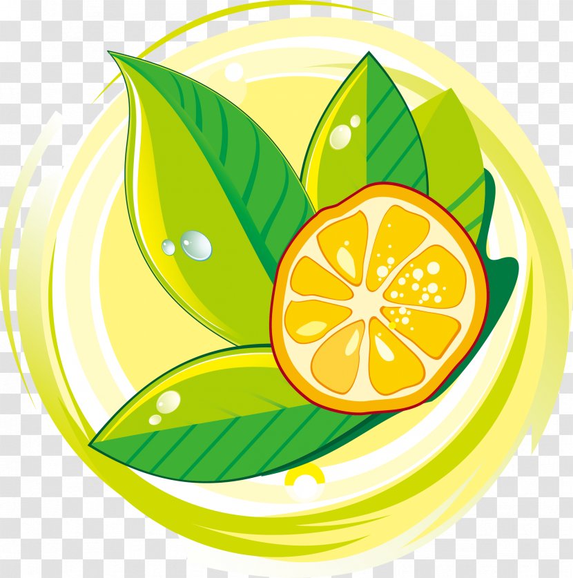 Lemon-lime Drink - Citrus Junos - Lemon Decoration Design Vector Transparent PNG