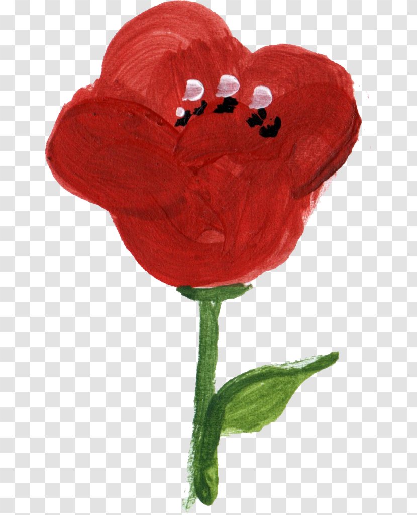 Flowering Plant Poppy Garden Roses - Love - Flower Paint Transparent PNG