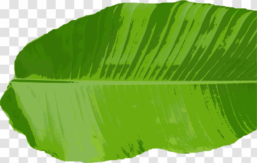 Banana Leaf Thai Cuisine Clip Art - Tree - Leaves Transparent PNG