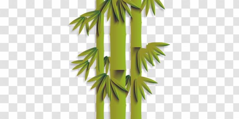 Green Bamboo Euclidean Vector - Plant Transparent PNG