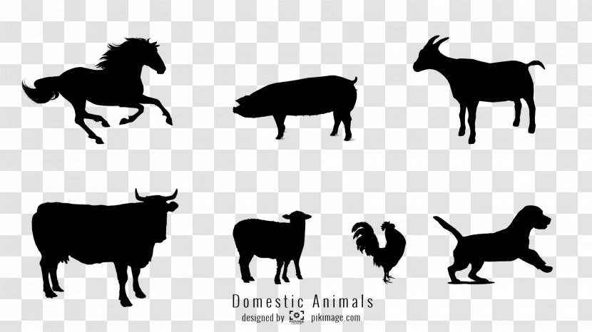 Sheep Cattle Horse Pig - Mustang Transparent PNG