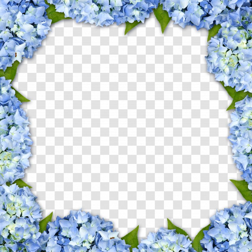 Hydrangea Picture Frame Flower - Line Art - Purple Floral Border Background Transparent PNG