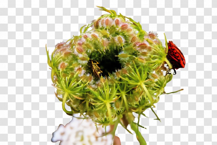 Flower Plant Pollen Petal Cut Flowers - Insect Pest Transparent PNG