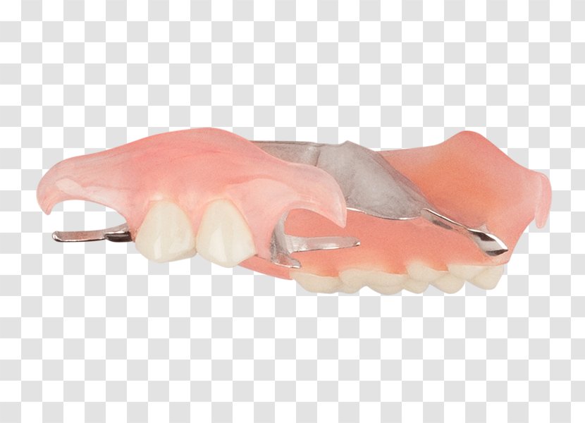 Dentures Removable Partial Denture Tooth Dentistry Home Improvement - Hand - Top Angle Transparent PNG