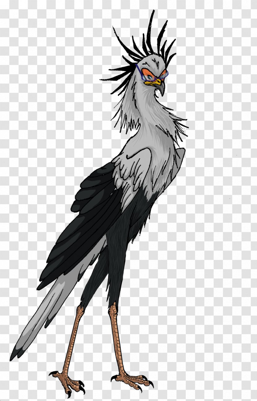 Bird Of Prey Chicken Beak Vulture - Wing - Secretary Transparent PNG