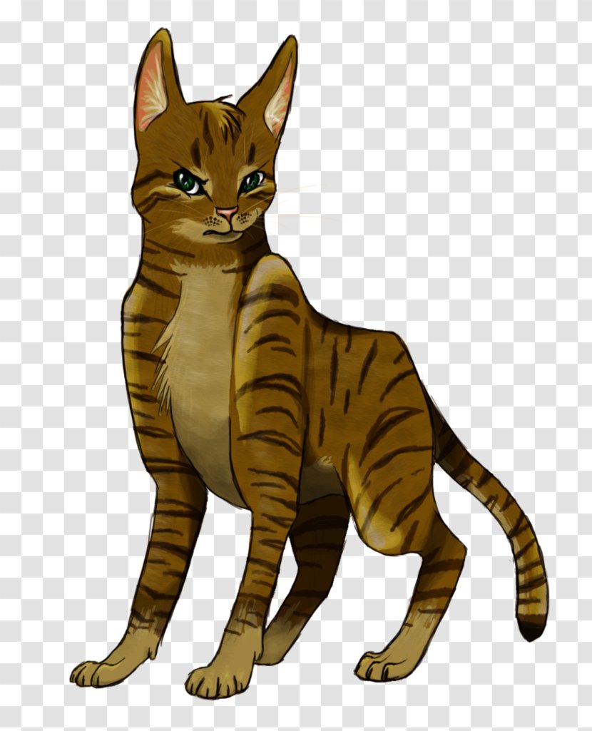 Toyger Bengal Cat California Spangled Sokoke Tabby - Paw Wolf Transparent PNG