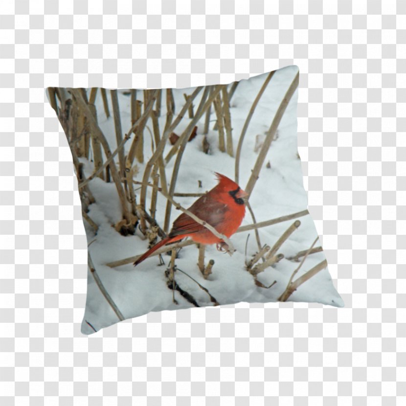 Throw Pillows Cushion Cardinal Songbird - Branch - Northern Transparent PNG