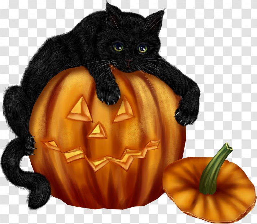 Halloween Jack-o'-lantern Whiskers Clip Art Black Cat - Candy Cartoon Transparent PNG