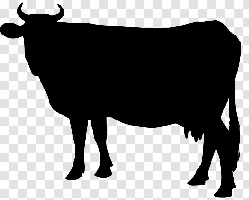 Cattle Silhouette Clip Art - Dairy Cow - Avoid Picking Silhouettes Transparent PNG