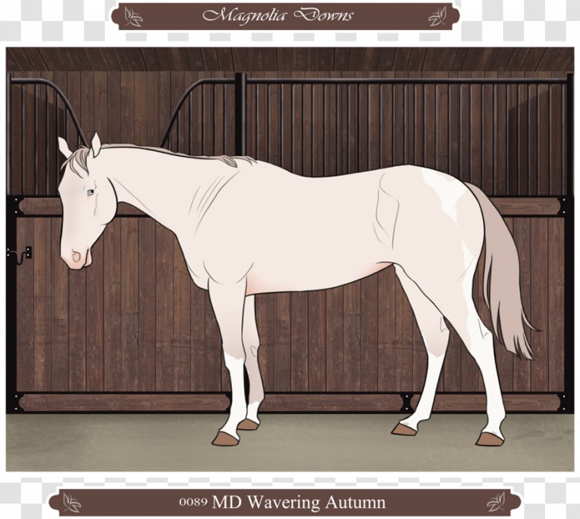 Mule Foal Stallion Horse Mare - Bridle - Gentle And Quiet Transparent PNG