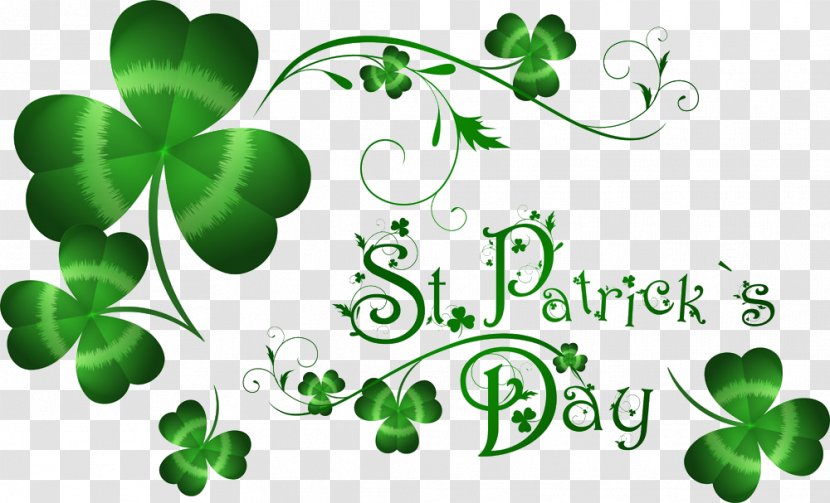 Saint Patricks Day March 17 Irish People Party Diaspora - Patrick - Clover Transparent PNG